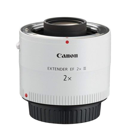 Noleggio Canon Extender  2X III