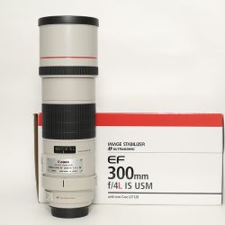 Canon EF 300/4L IS