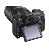 Nikon D780 + AF-S 24-120 VR