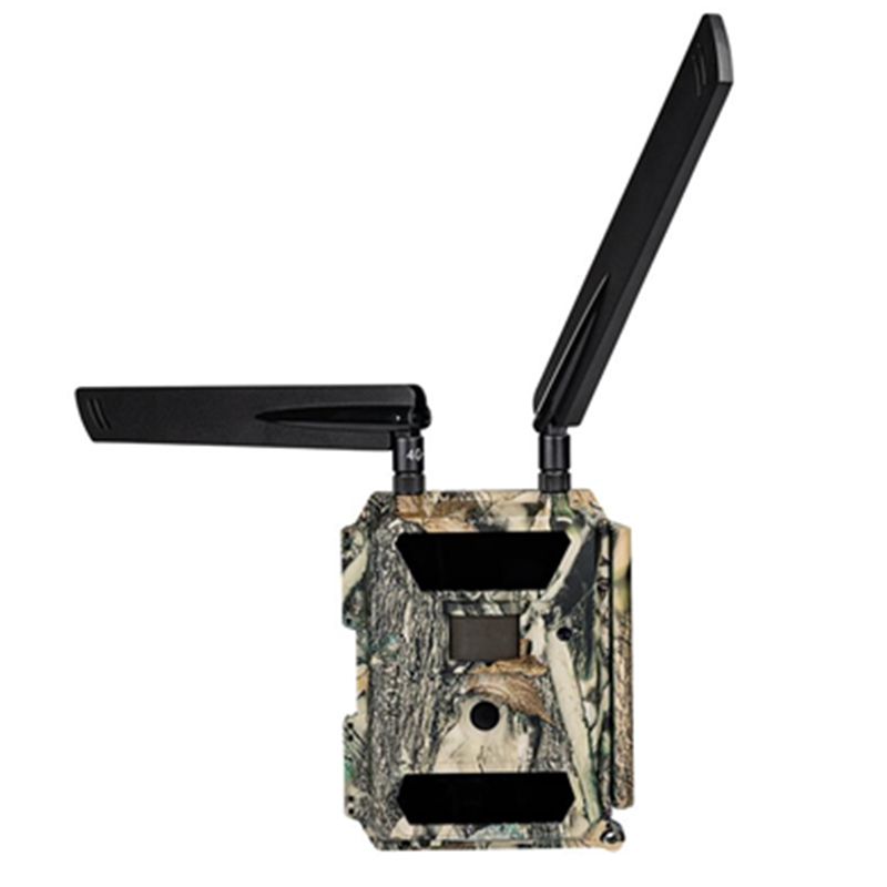 DORR FOTOTRAPPOLA SURVAILLANCE 4G CLOUD CAMOUFLAGE