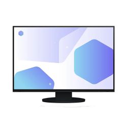 EIZO EV2485