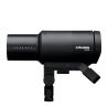 Profoto Pro-D3 1250 Duo Kit