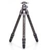 Benro kit TORTOISE 24C carbonio + testa sfera GX30