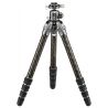 Benro kit TORTOISE 35C carbonio + testa sfera GX-35