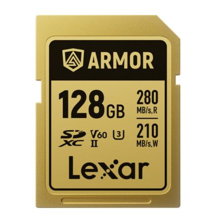 Lexar PRO ARMOR GOLD 128GB SDXC acciaio