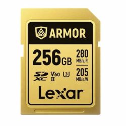Lexar PRO ARMOR GOLD 256GB SDXC acciaio