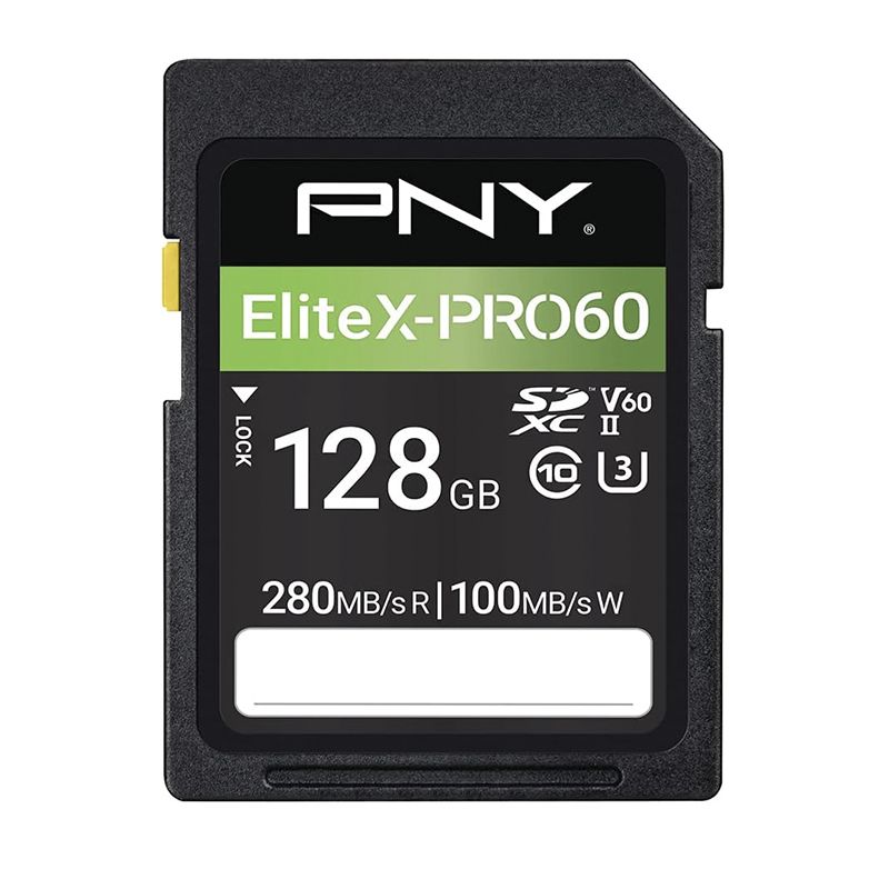 PNY Scheda SD 128GB V60