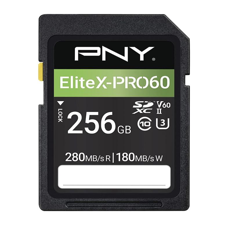 PNY Scheda SD 256GB V60