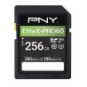 PNY Scheda SD 256GB V60