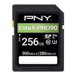 PNY Scheda SD 256GB V90