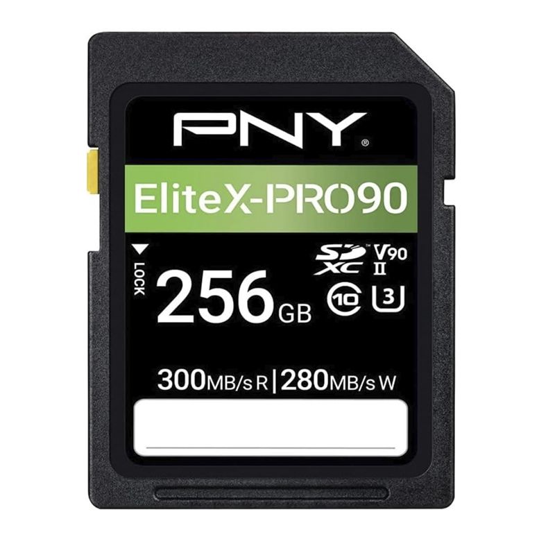 PNY Scheda SD 256GB V90
