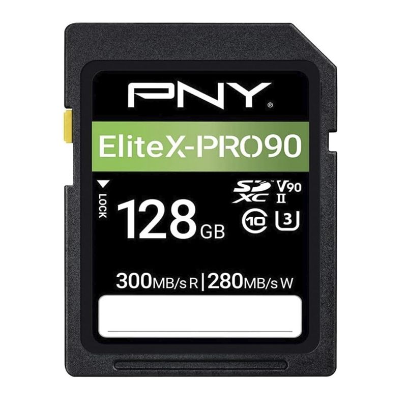 PNY Scheda SD 128GB V90