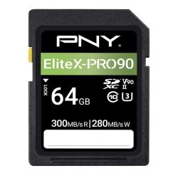 PNY Scheda SD  64GB V90