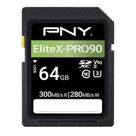 PNY Scheda SD  64GB V90