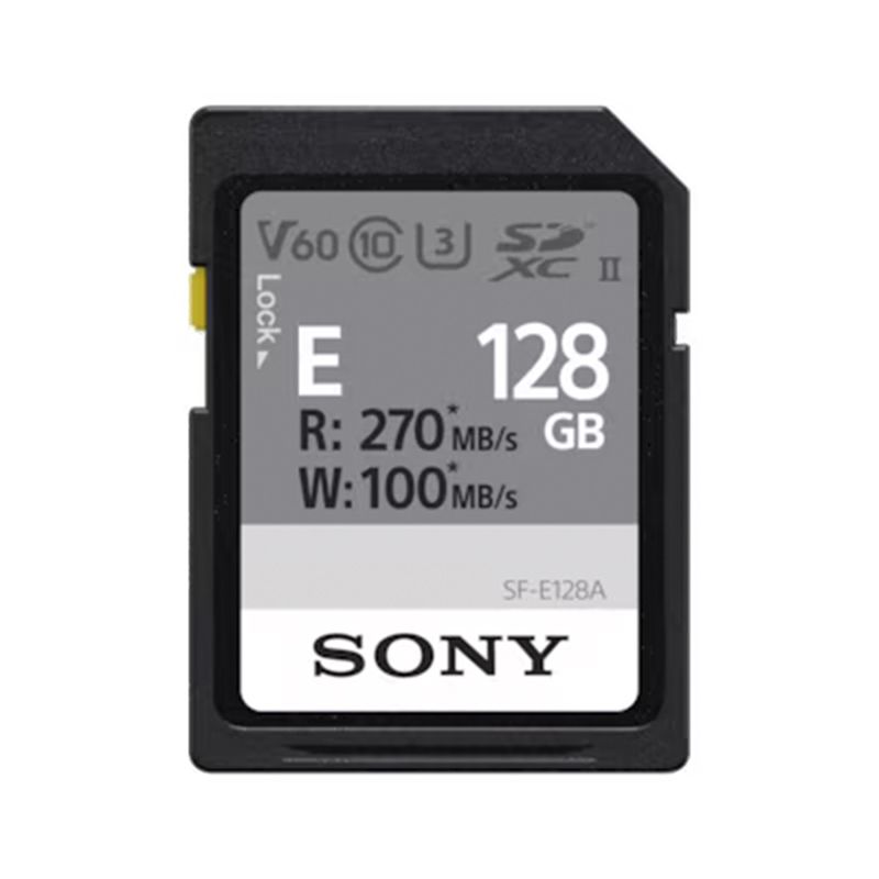 SONY SD XC SFE 64GB