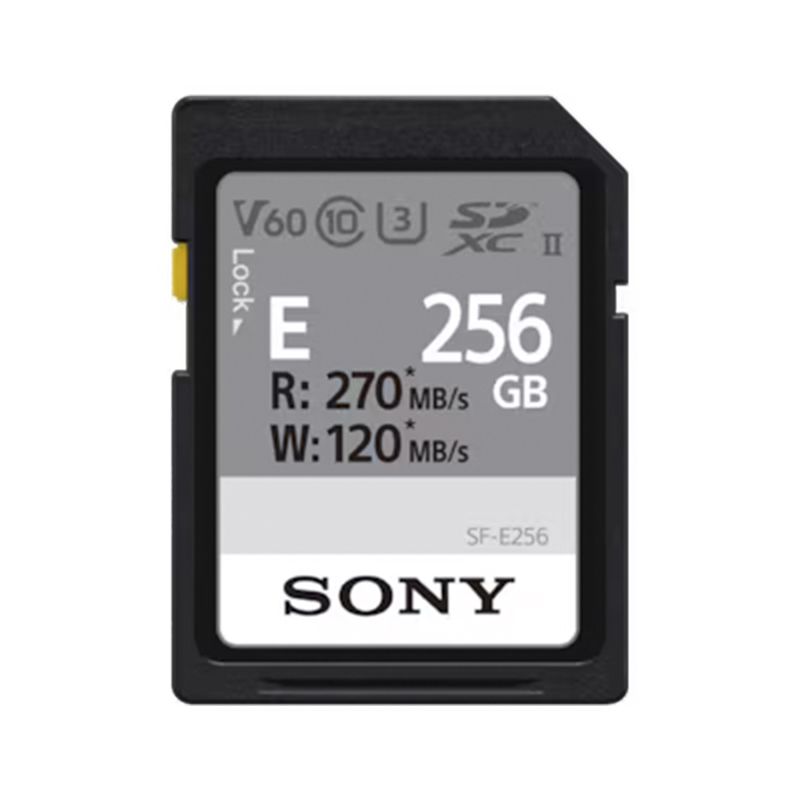 SONY SD XC SFE 256GB