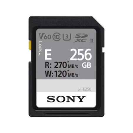 SONY SD XC SFE 256GB