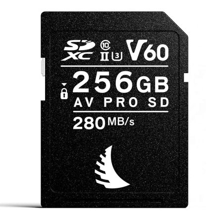 ANGELBIRD AV PRO SD MK2 256GB V60