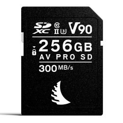 ANGELBIRD AV PRO SD MK2 256GB V90