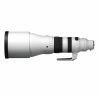 Sigma 300-600/4 DG OS Sport per SONY E MOUNT